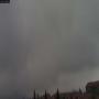 20250509_083000M.jpg