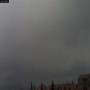 20250510_092959M.jpg