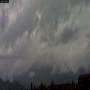 20250510_112959M.jpg