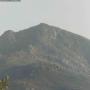 20250629_0815.jpg