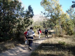 En la zona de bosque del rio Cambrones.
