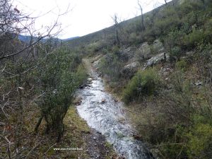 Arroyo de la Pasada.
