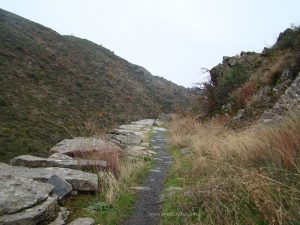 El camino de la Hoz en el cañon de Tortuero.