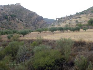 Zona del Sifón de San Román.