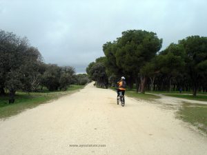 Paisaje relajante, ideal para el deporte, en el camino del Pinar Grande.