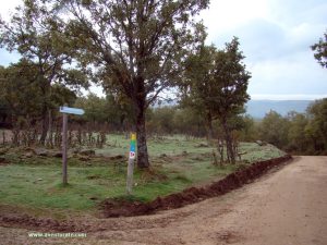 Itinerario Señalizado.