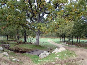 Camino muy pisado, con pasarelas de madera en los arroyos.