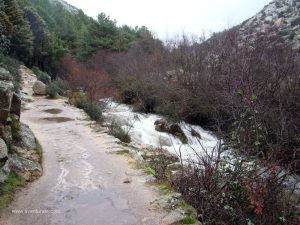 El sendero "autopista" que nos adentra en la Pedriza, junto al arroyo de la Majadilla.