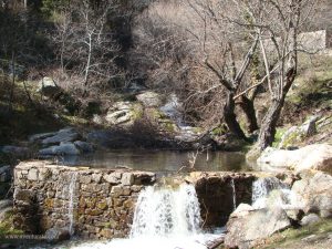 Pequeña balsa que forma el arroyo del Romeral, cerca de la presa del mismo nombre.