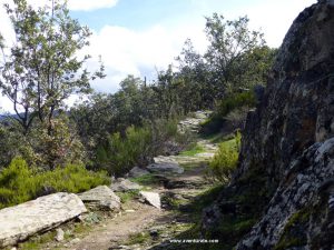 En la vuelta, llegando a la Hiruela.