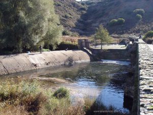En la presa que el río Henares forma en el puente. Zona de pescadores.
