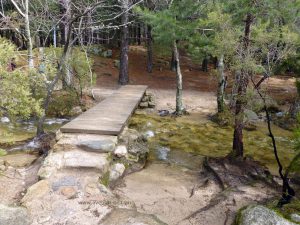 Cruzamos el puente para subir hacia la zona del Tolmo.