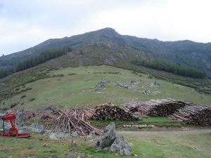 Desde el Collado Salinero, con la cumbre del Porrejón al fondo.