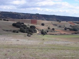 Imagen desde Viñuelas.