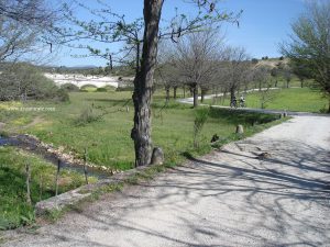 Acueducto sobre el Arroyo de los Caños de la Parrilla.