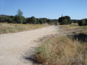 Primeros momentos, camino de Moralzarzal.
