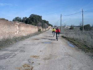 Transcurre durante buena parte del recorrido junto a la tapia.