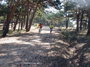 Bajada hacia la zona del Ventorrillo.