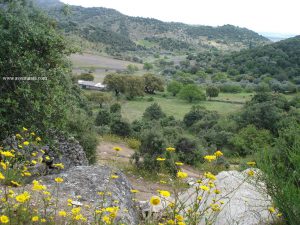 Después de Castillo de Bayuela, en las revueltas rabiosas.