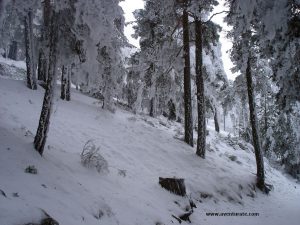 El camino Schmid nevado, un autentico placer.