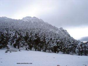 En Collado Ventoso.