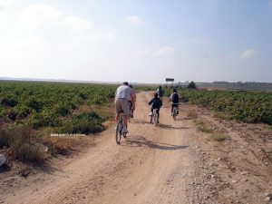 Ruta tranquila, que se puede hacer con los mas jovenes.