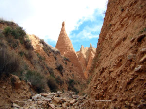 Las Carcavas del Ponton de la Oliva