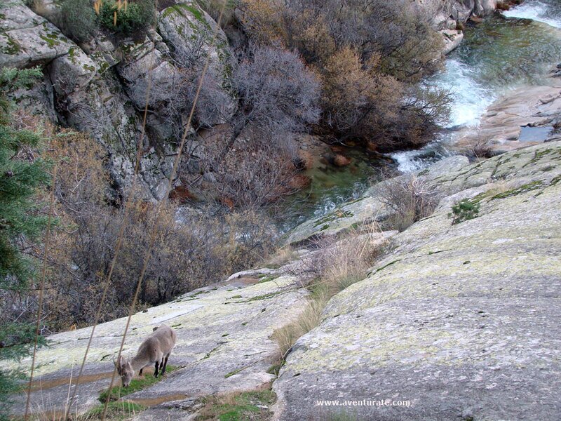 Cascadas en Pedriza