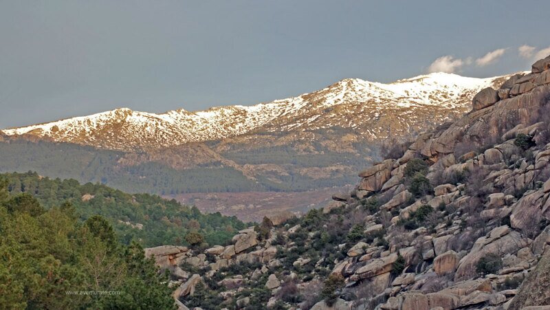 El Centinela