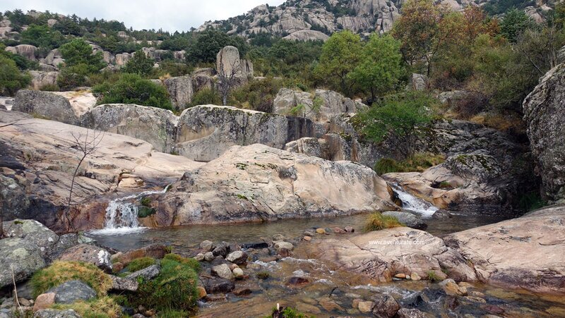 Zona de la Charca Verde