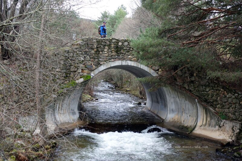 Puente río Cega.