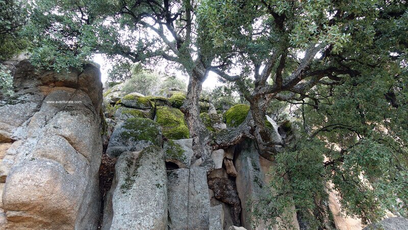 Cuevas y vivac en Pedriza