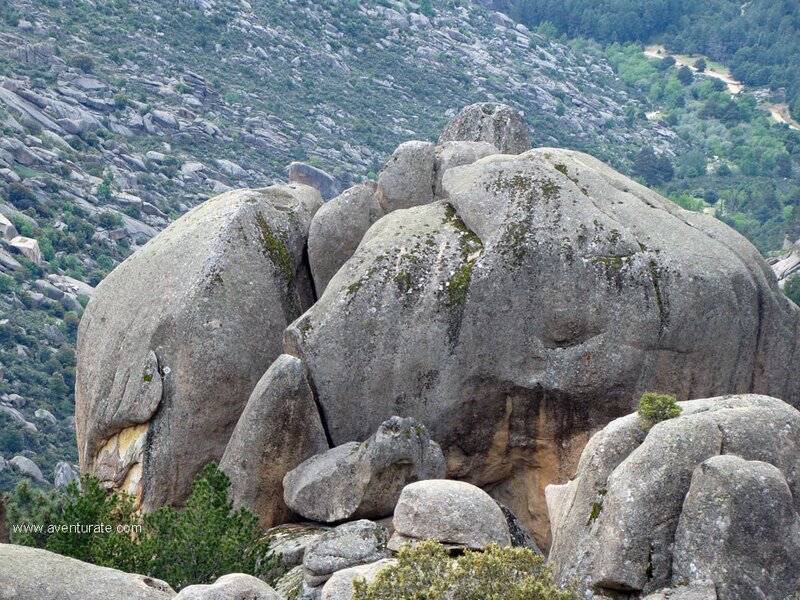 El Elefante