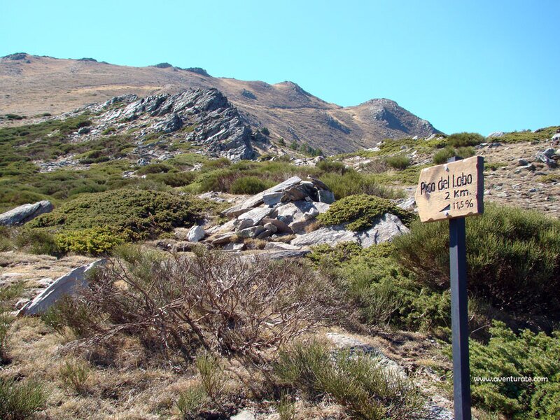 Pico del Lobo (2272)       