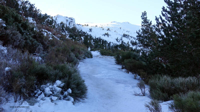 Pico del Lobo (2272)