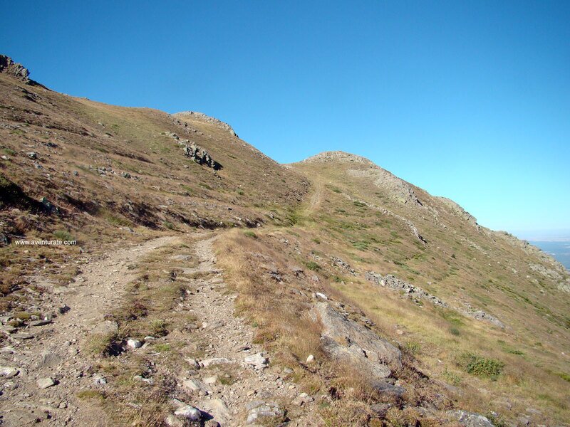 Pico del Lobo (2273)