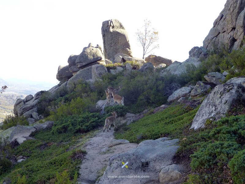 La Pedriza