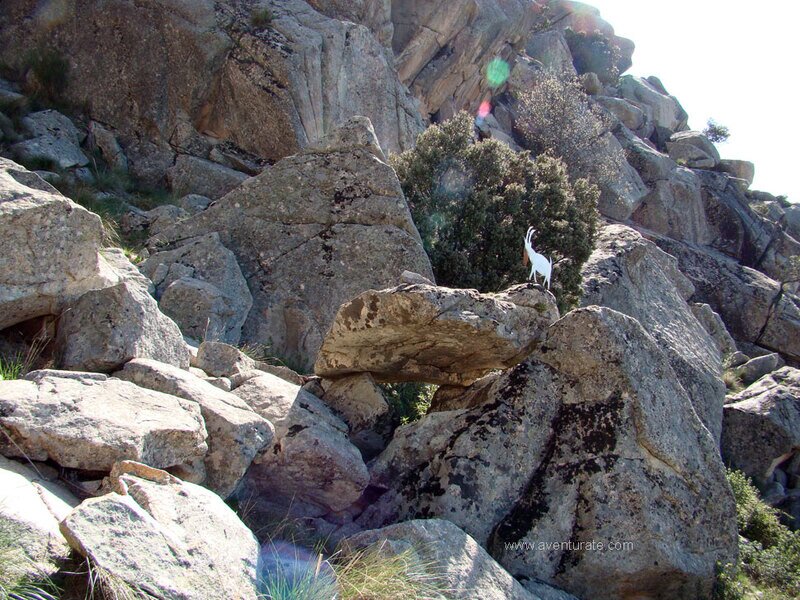 Ruta de las Cabras