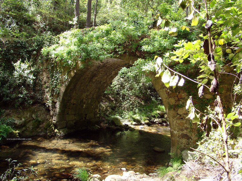 Puente Viejo de Pelayo  