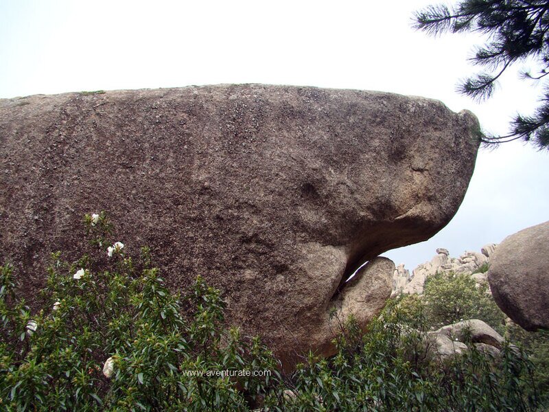 El Tiburón