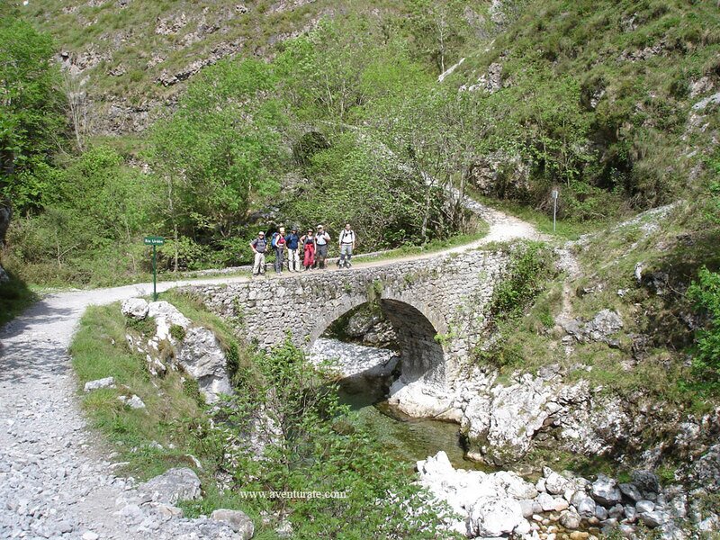 Puente Río Urdón 